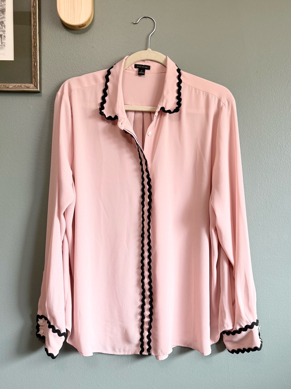 Ann Taylor Pink Buttondown Blouse
